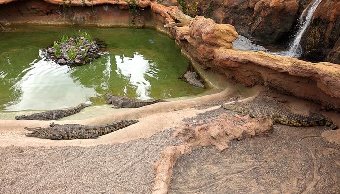 Leukste excursies Lanzarote