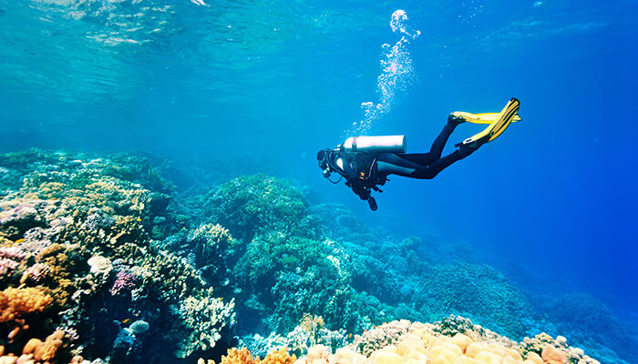 waar warm in januari bonaire