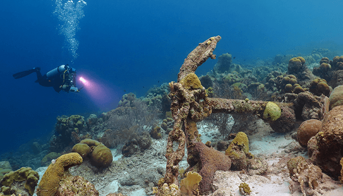 Duiken op Bonaire? Ik zou 't doen