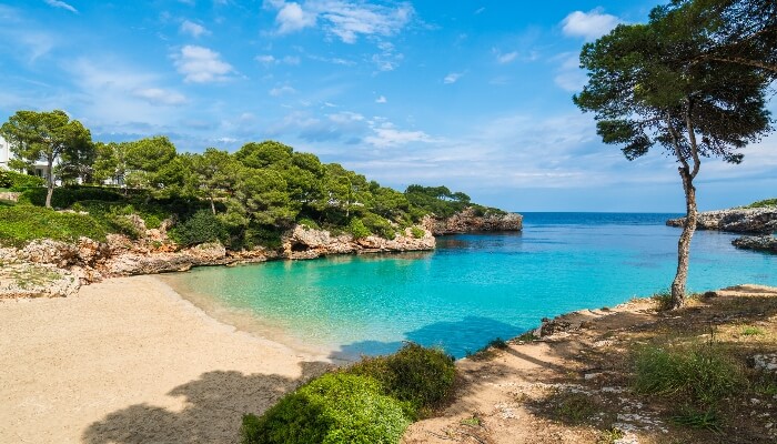 Cala d'or