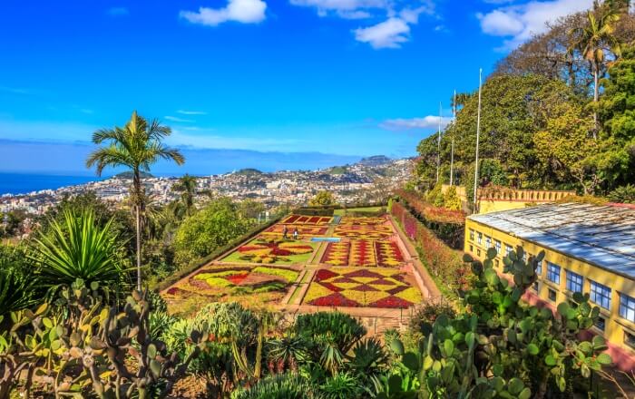 Waar-overwinteren-Europa_madeira